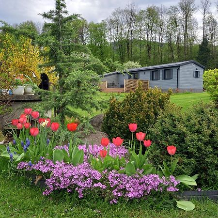 Chata Idylka - Nova Chata Se Zahradou Loučná nad Desnou Exteriér fotografie